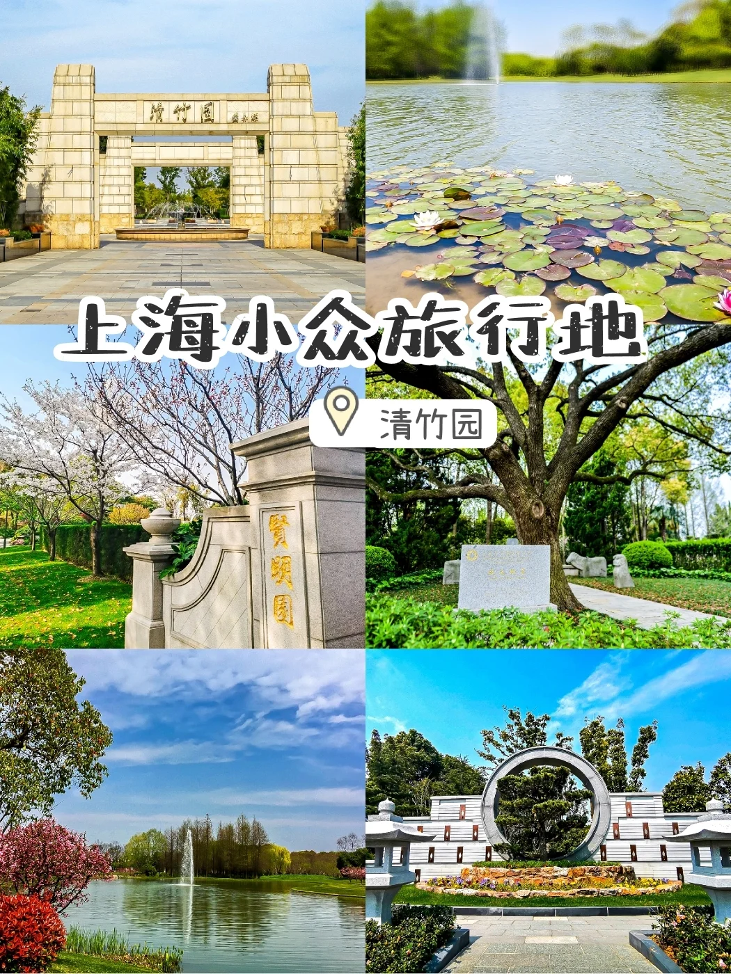 清竹园就像一面镜子，照出了我们人生的样貌
