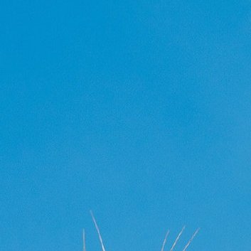 每日一善‎每日一善 ‎阳光‎信用 善是一种自然的流露,没有一点造作,没有一点企求