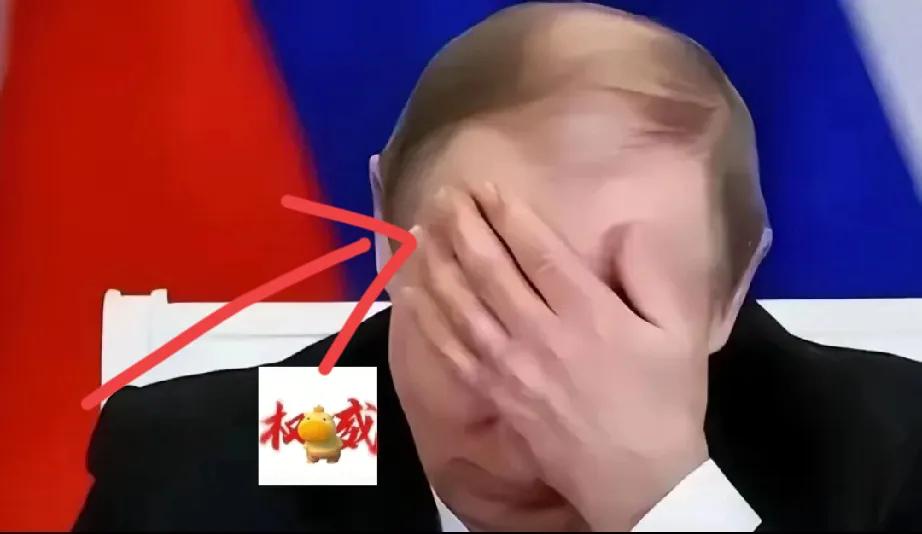 俄总统普京怎么也想不到，
十年前卖给某个东方大国的S400防空导弹系统，今天竟然
