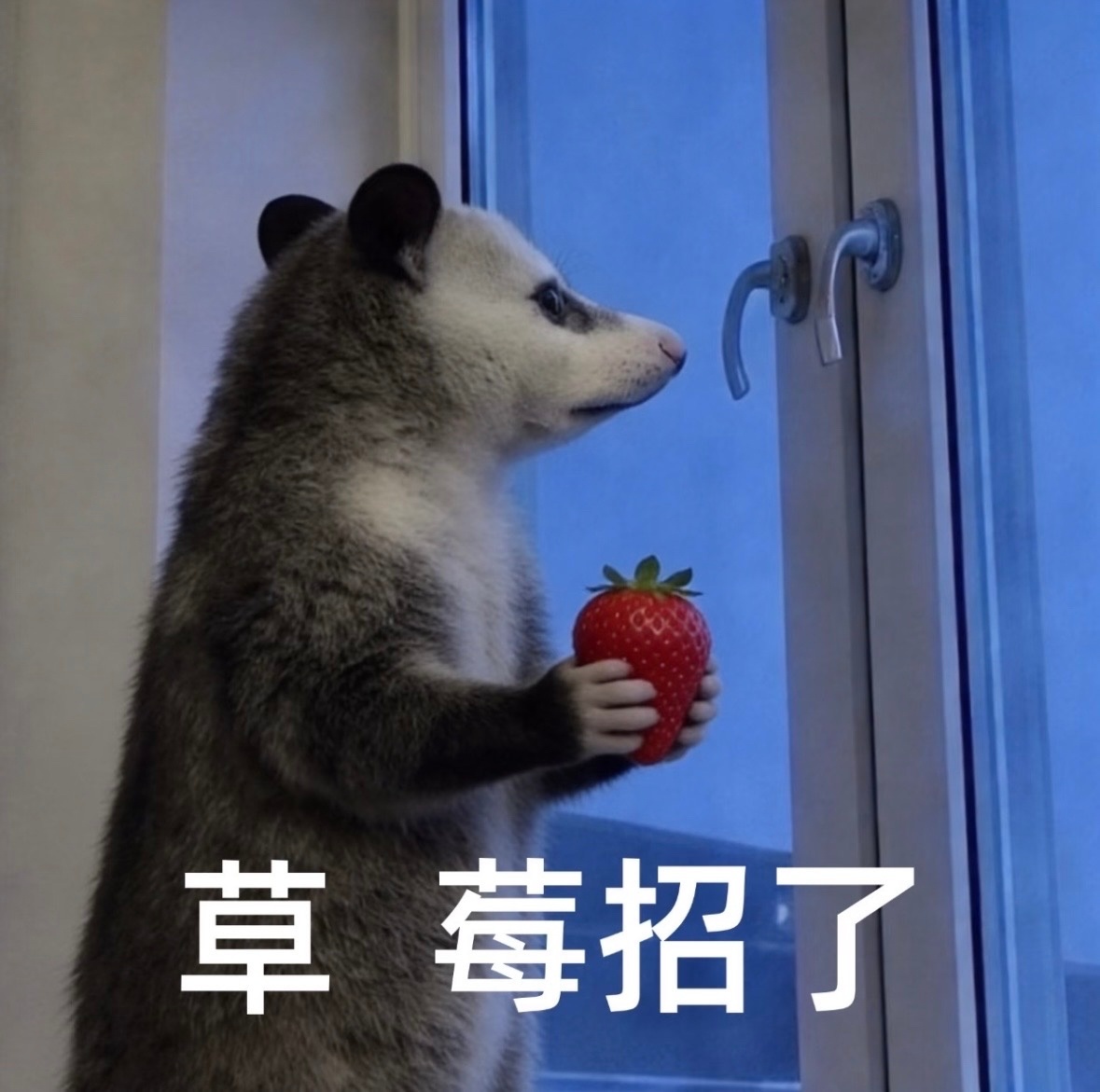 已经累了，放弃抵抗 
