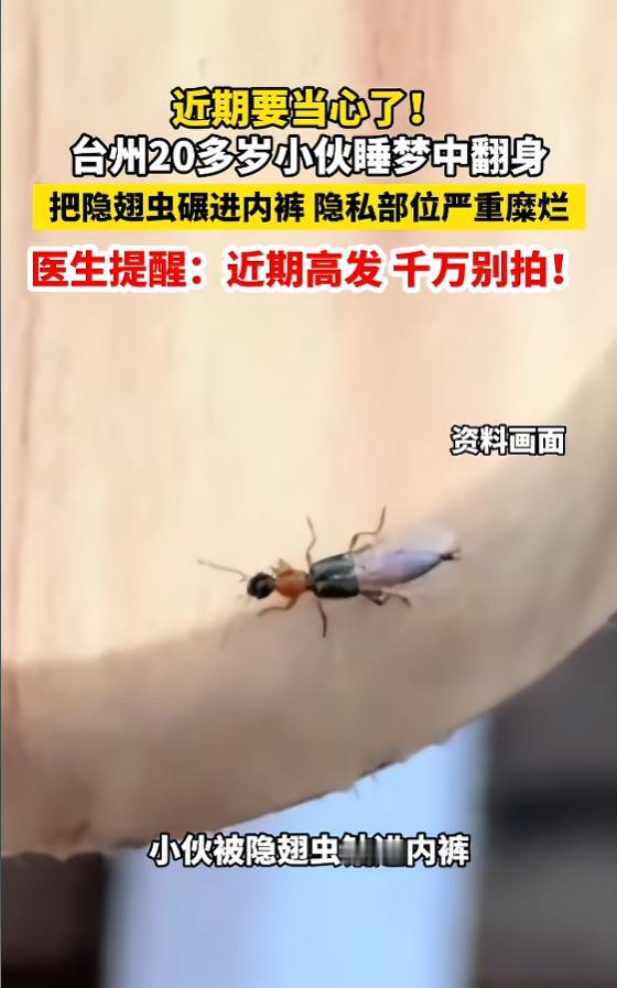 “险情发生了！”8月8日报道，浙江台州，一小伙睡觉时，没有关窗，隐翅虫因此钻入被