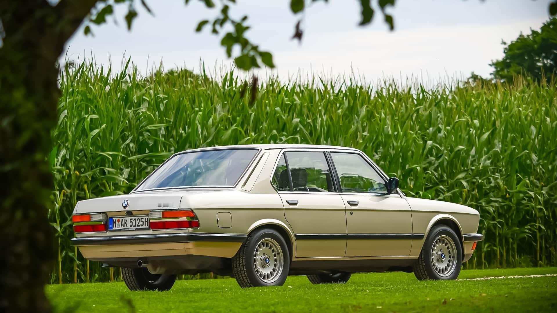 BMW 525e (E28) ​​​