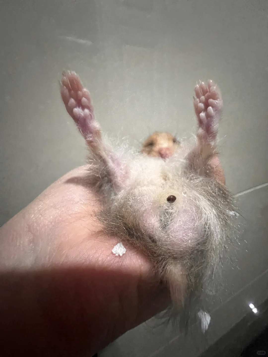 我阿彪超绝偷感