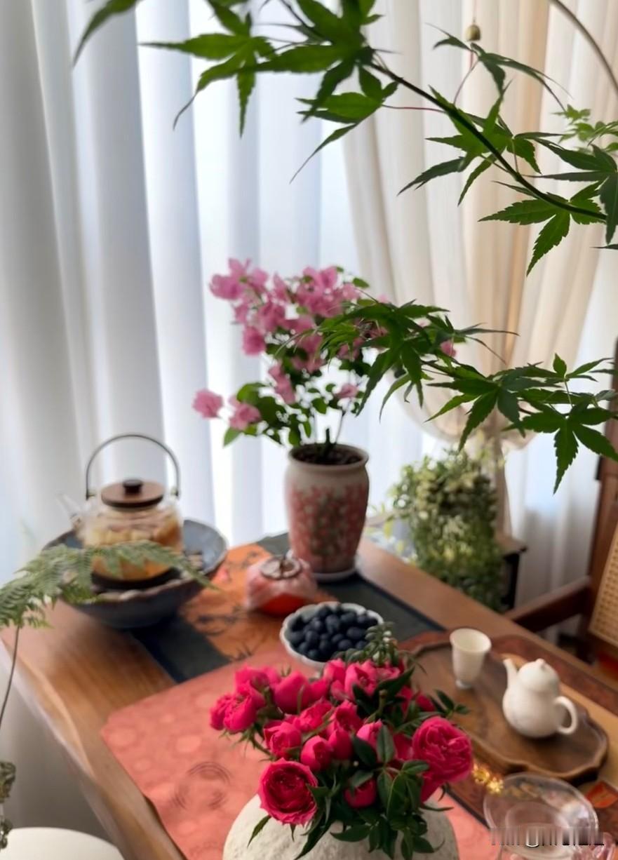 允许自己一事无成，允许自己孤独终老，允许自己充满遗憾
真正的强大不是对抗，而是允