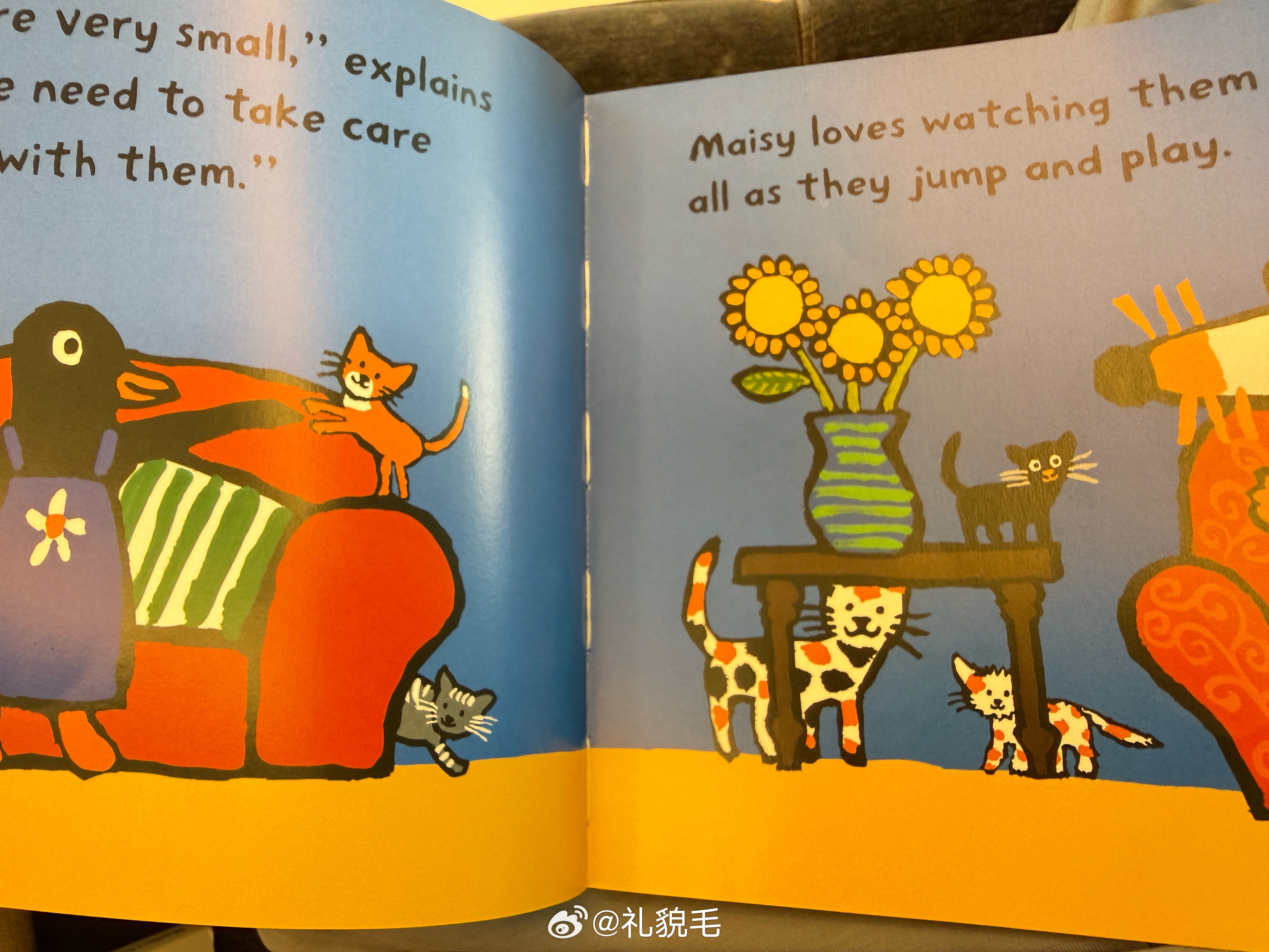 小朋友的敏锐超乎我的想象给球宝讲绘本，maisy的朋友penguin家的猫生了三