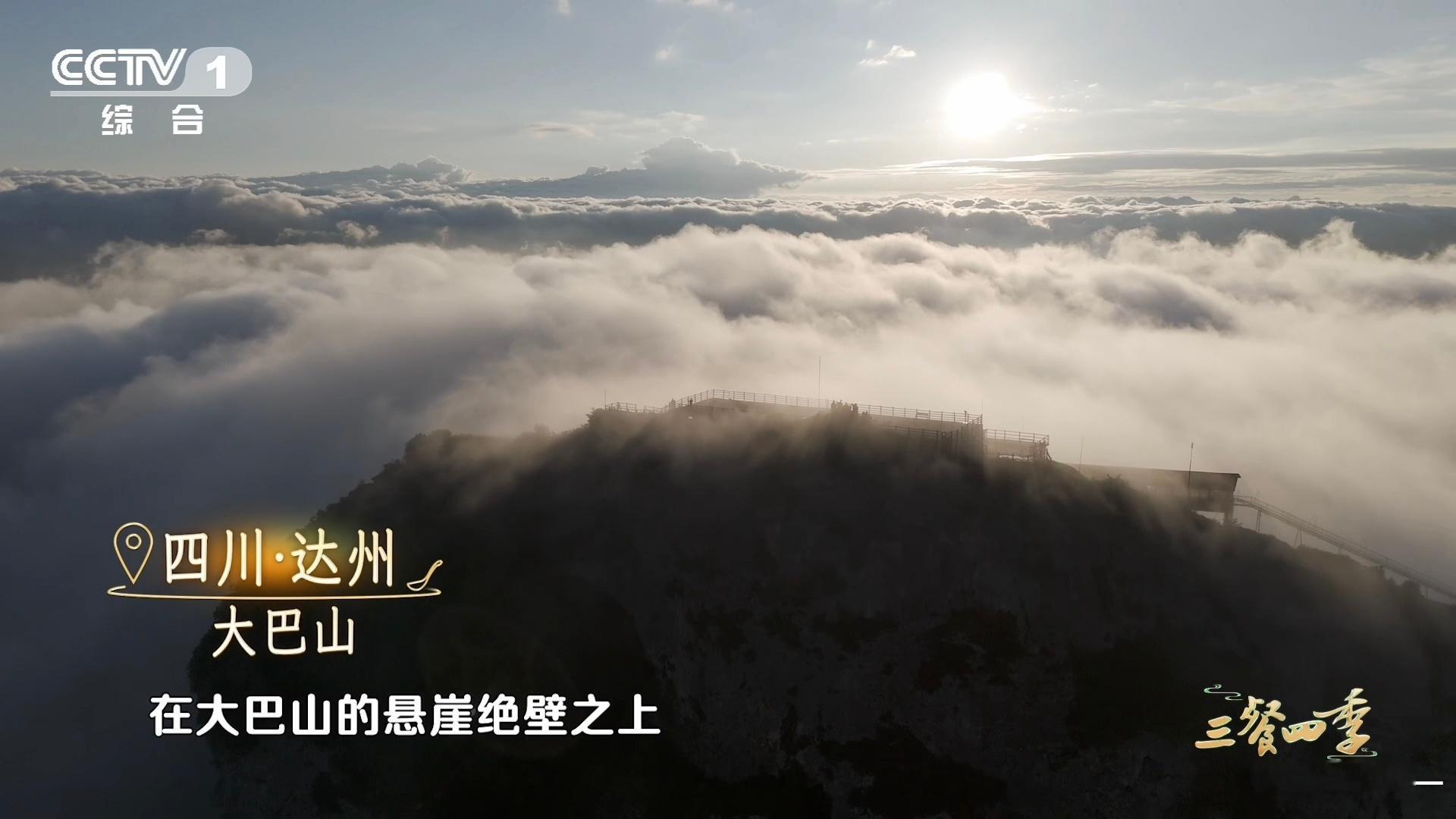 中国人的吃商绝了 岩豆硬得像小石头又如何？中国人总有办法，把它变成老少皆宜的家常