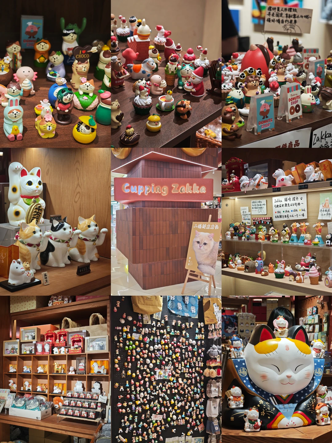 广州新店｜一家猫咪浓度超标的可爱小店🐱