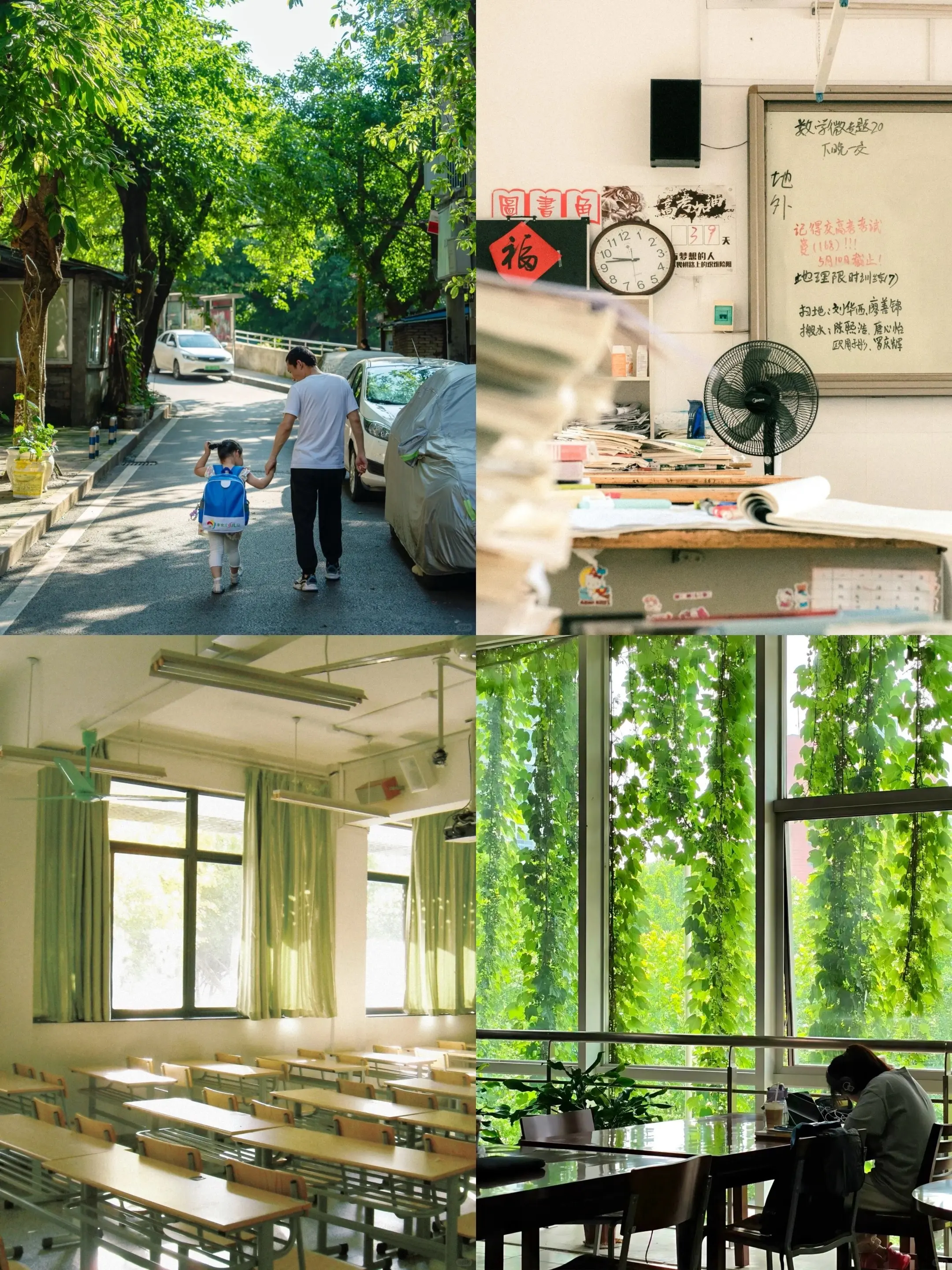 你最怀念哪一个夏天