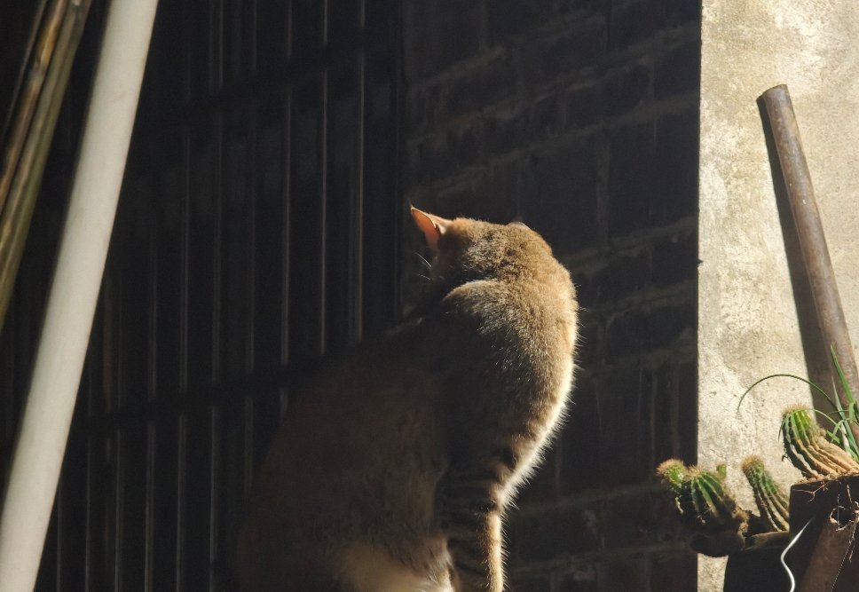 晚风轻轻拂过夜色，吹散白日的疲惫与喧嚣，温柔包裹整片夜空。星光浅浅散落，月色温柔