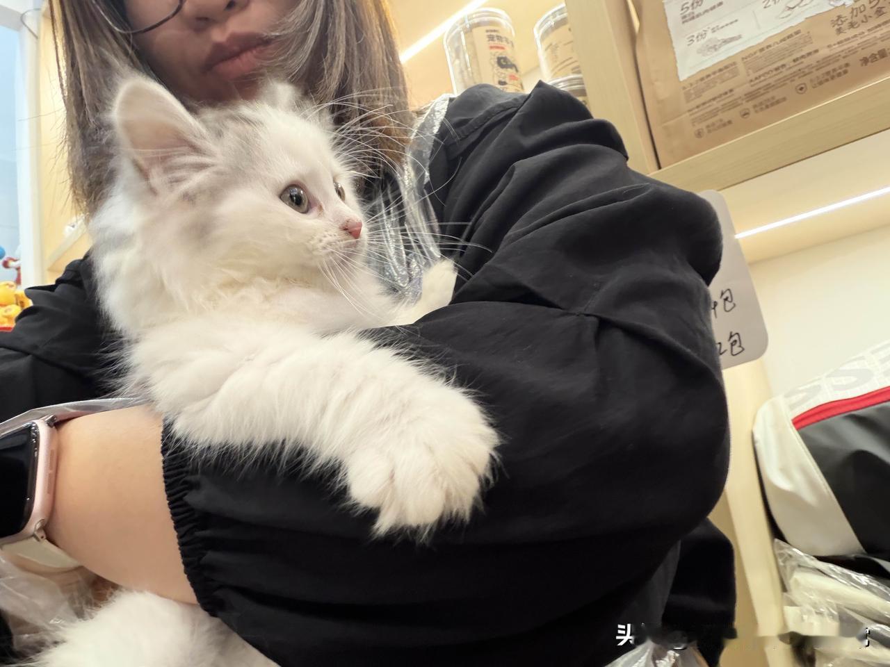 平安是福，当下即暖[心]
日子匆匆，最珍贵的从不是遥不可及的奢望，而是手中的平安