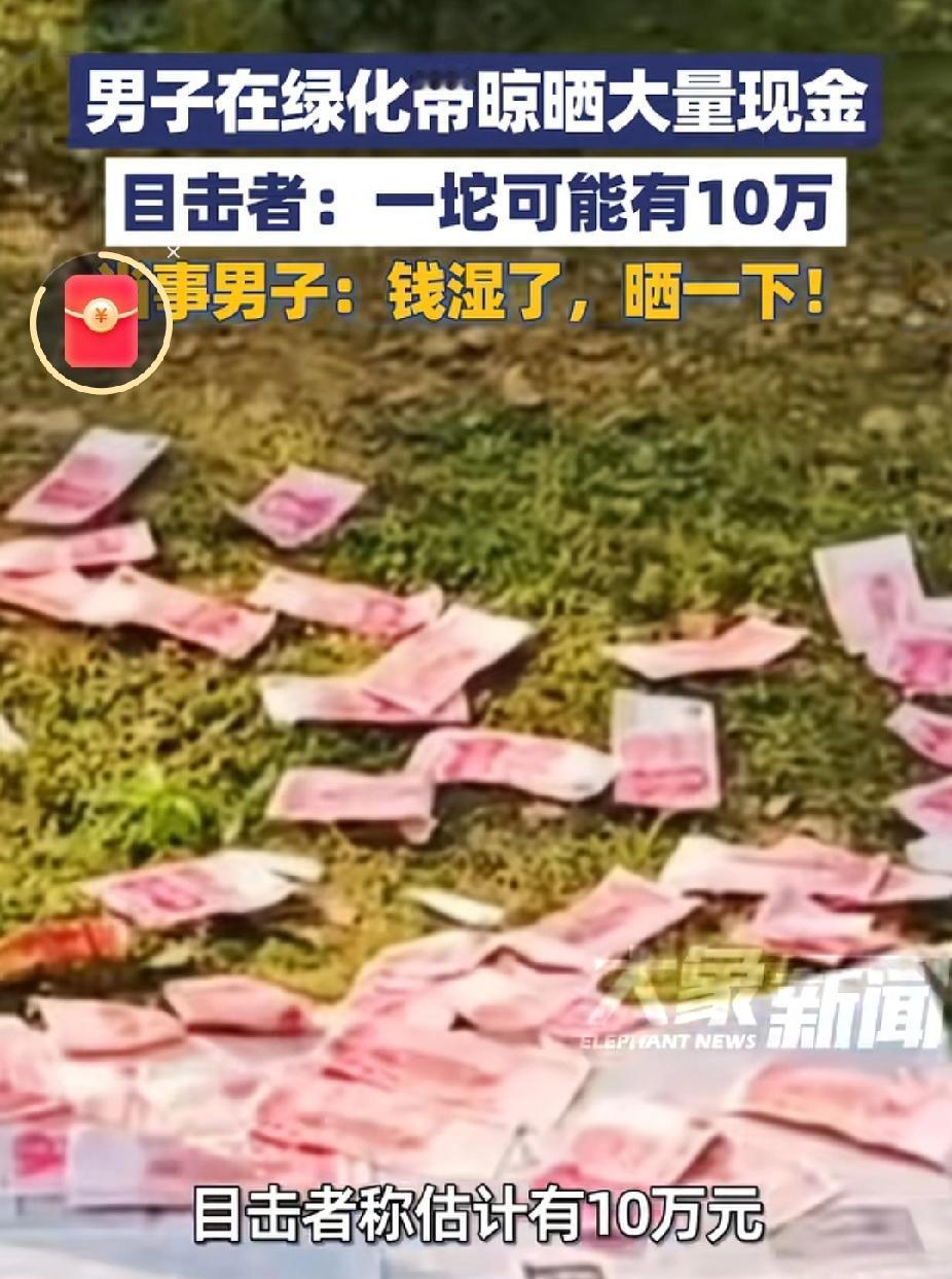 成都街头最近出现了
个让人咋舌的场景——有位大哥直接把一沓沓钱摊在路边的绿化带里