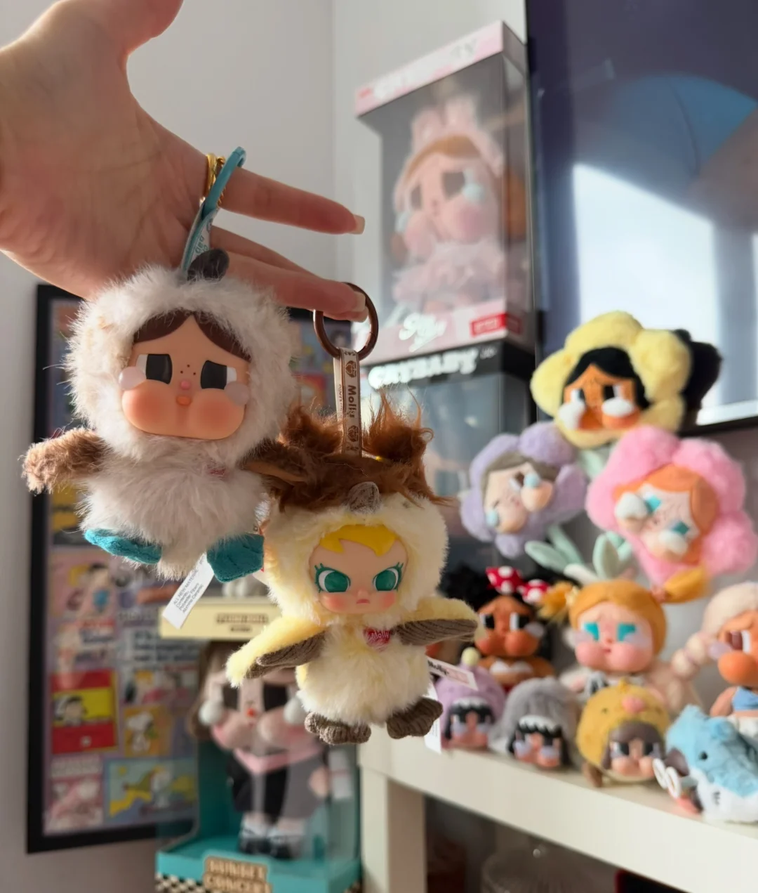 dear birds molly也太可爱了吧！