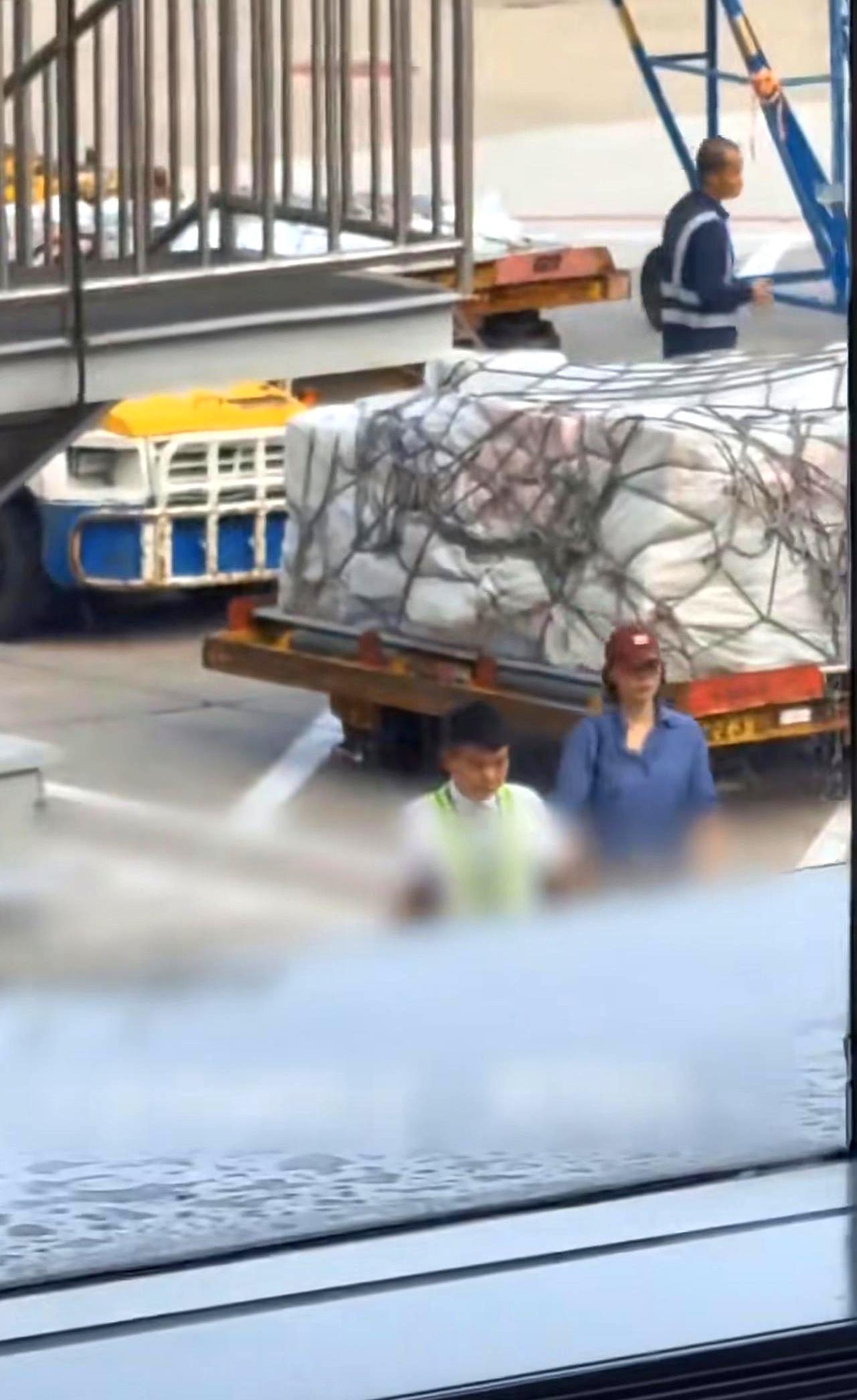一个人把“星味”藏到看不见，要多低调？
在机场擦肩而过你都不一定认得——这次真被