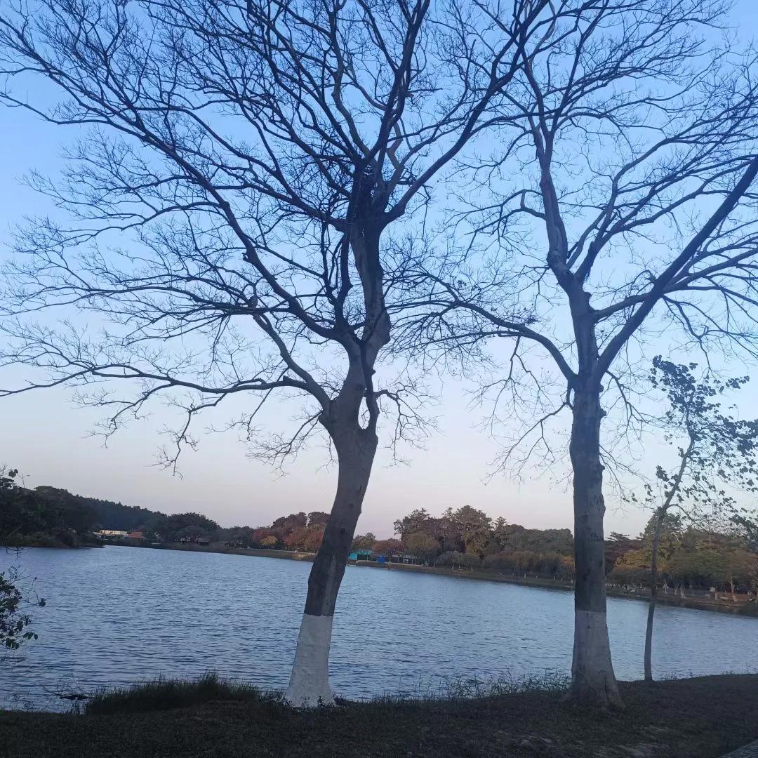 幸亏我是千年后爱上王勃，没有跟王勃出生在同一个年代，不然王勃看到我绝对把持不住，