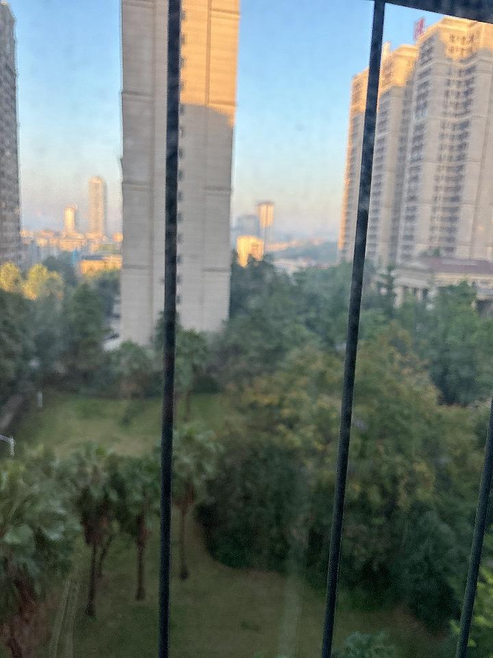 我的今日状态：💰期待暴富
我这里的天气：☀️晴天
今天又是劳动的一天，大概还需