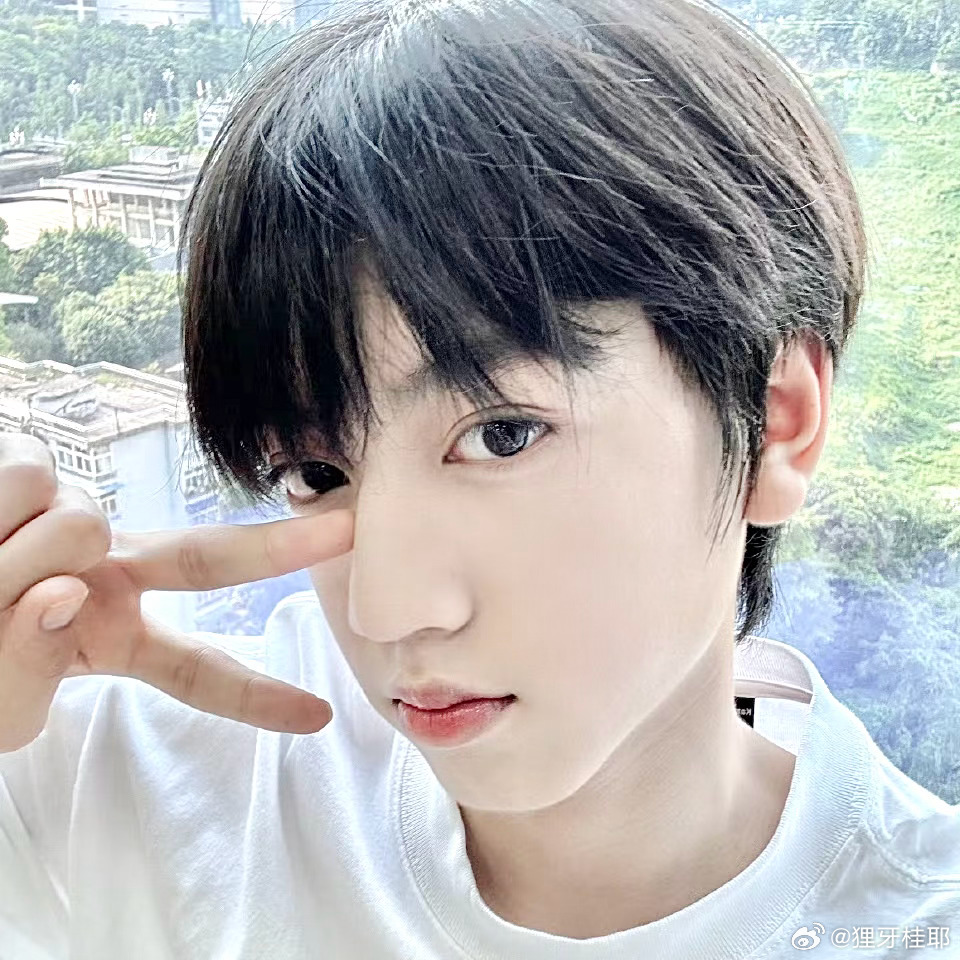 白色系  专栏 · 圆圆呀