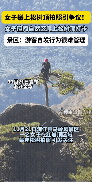 女子不仅有爬树功夫，而且她还是有一定的胆量的。
不过，百年才可能长成的树，经常有