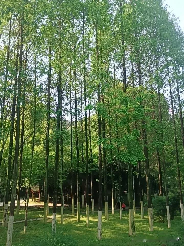 炒股要学会孤独！

女人因为优秀而孤独，男人因为孤独而优秀，这话说得太对了。炒股