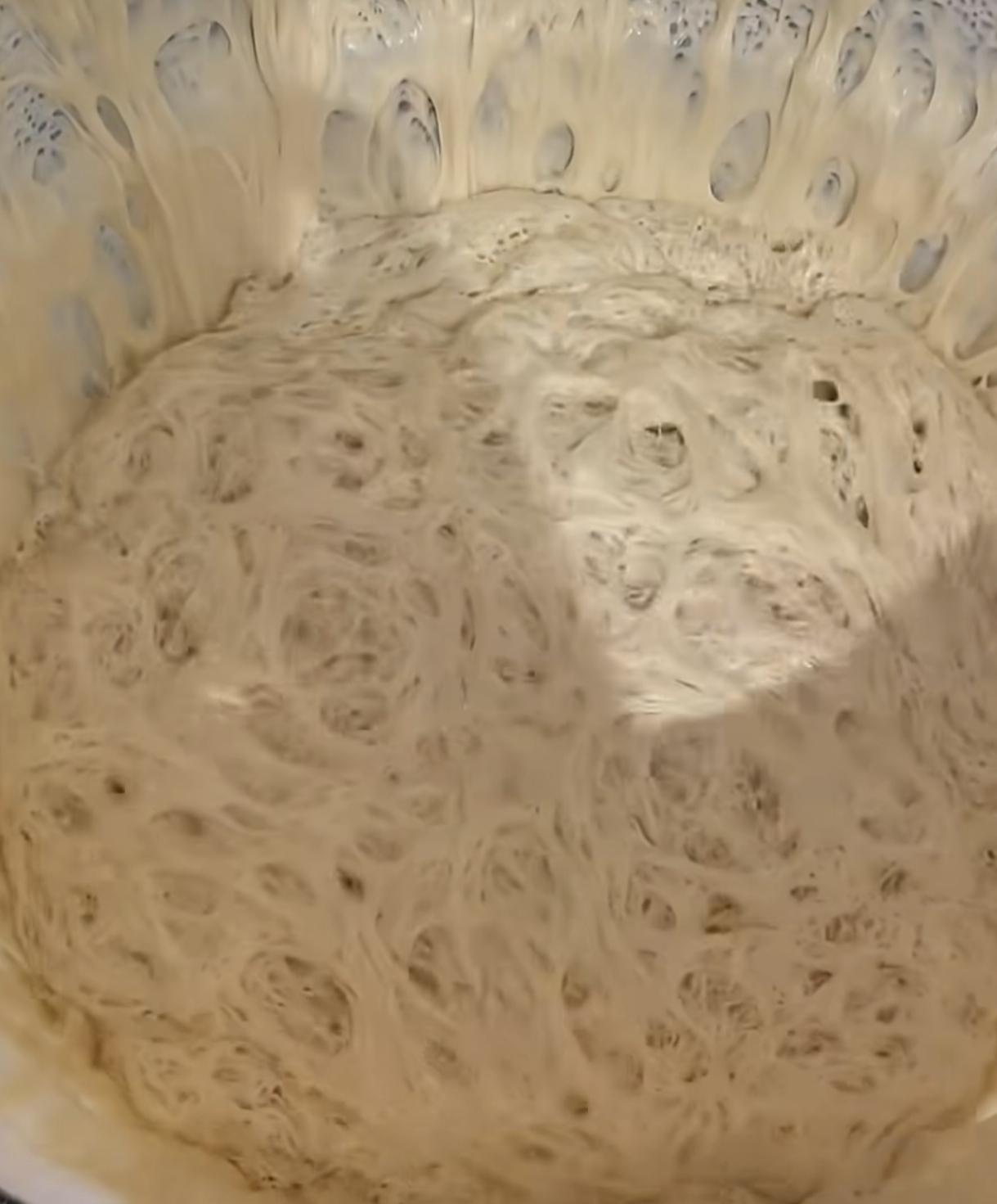 “养它”真的太省心了
这种看起来黏糊糊且会蠕动的东西 
其实是一种新型宠物 ，它