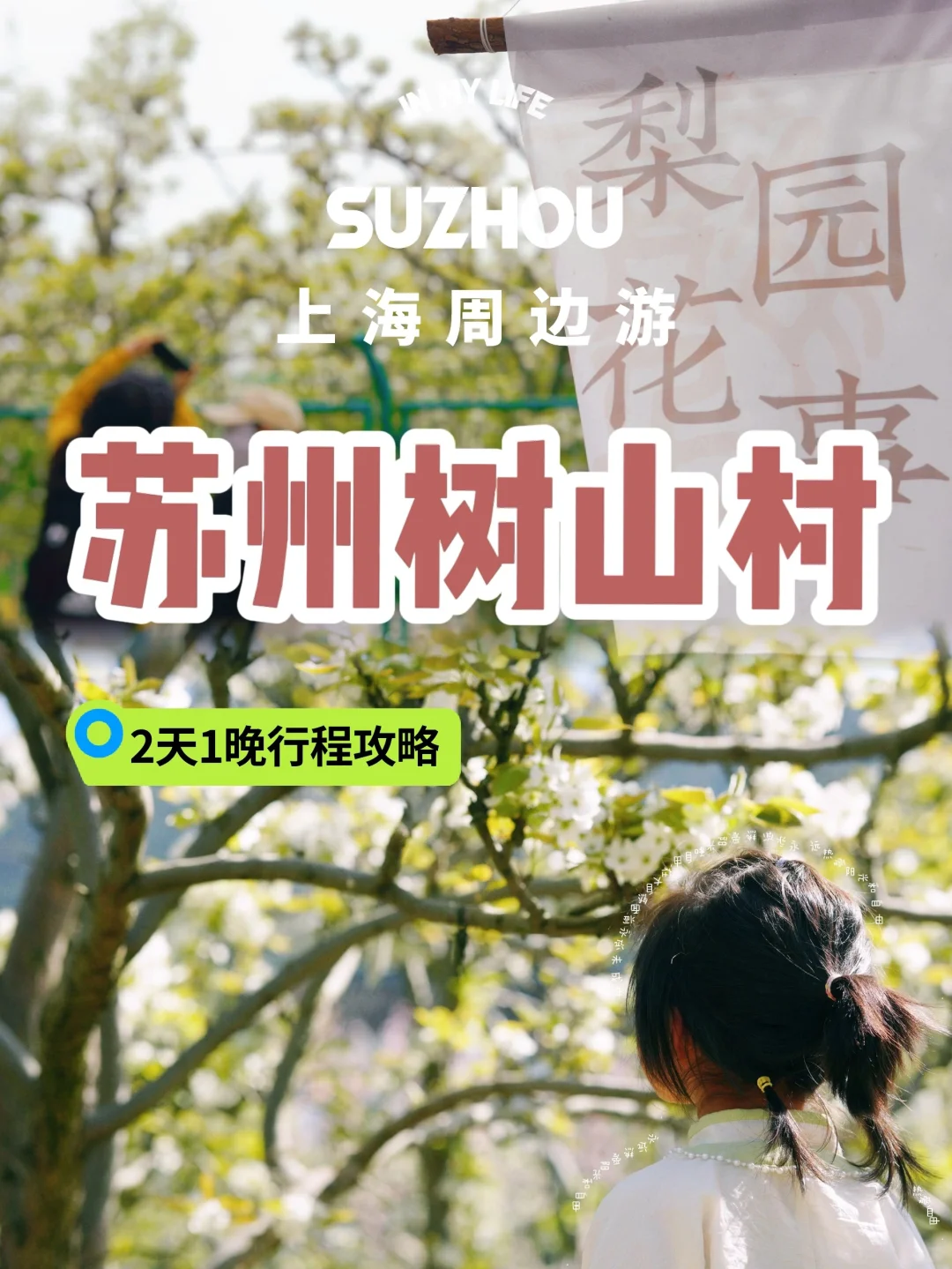 小友遛遛图鉴｜在苏州‼️梨花盛开的春天‼️