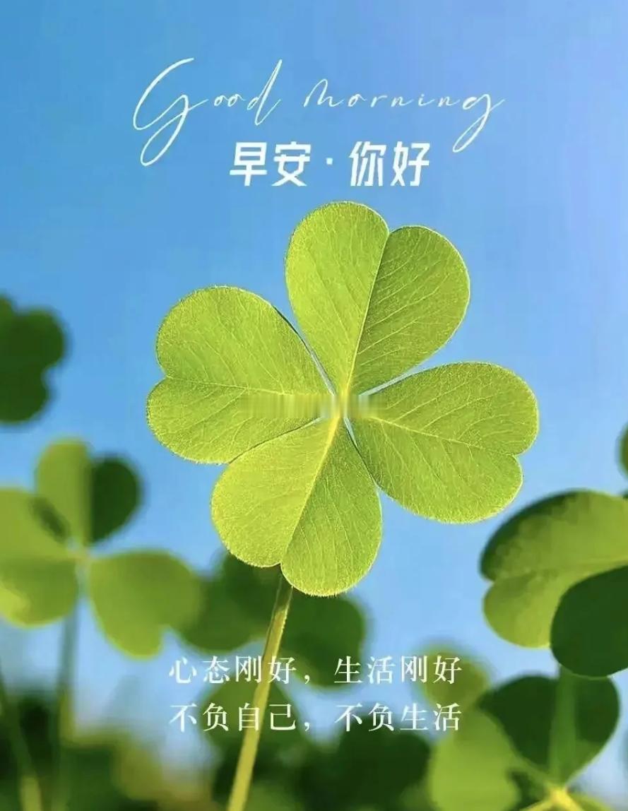 周二 新的一天心态放平，行情起落平常心对待，用心打磨交易能力，长久奔赴心中期许，