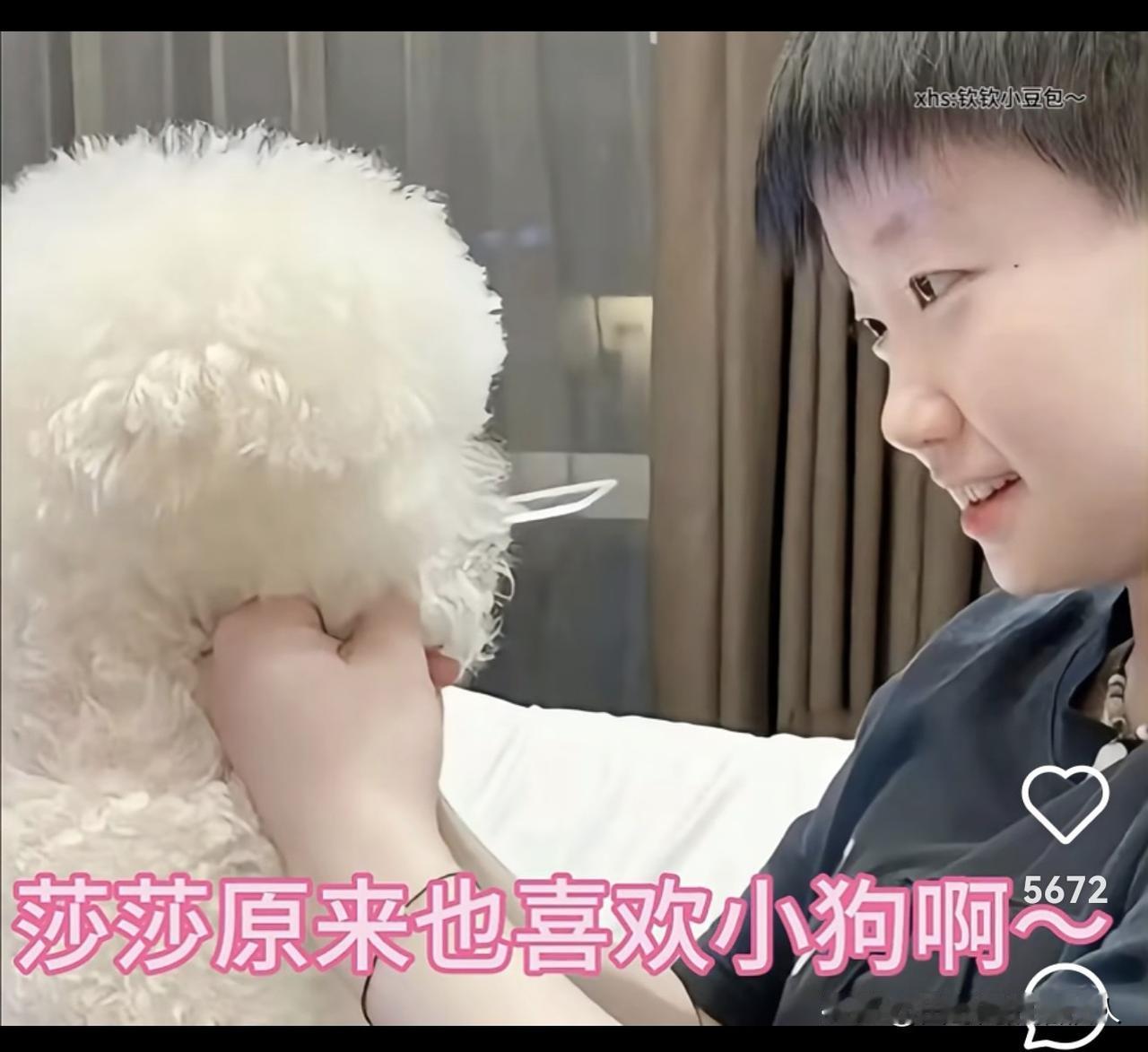 哦，原来如此！
        孙颖莎忙于训练时，
就把狗狗送到了宠物学校，和小