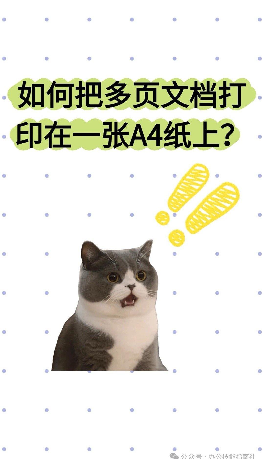 WPS文档常规缩印这样做1.点击打印预览（或者Ctrl+P调出打印页面）
2.选