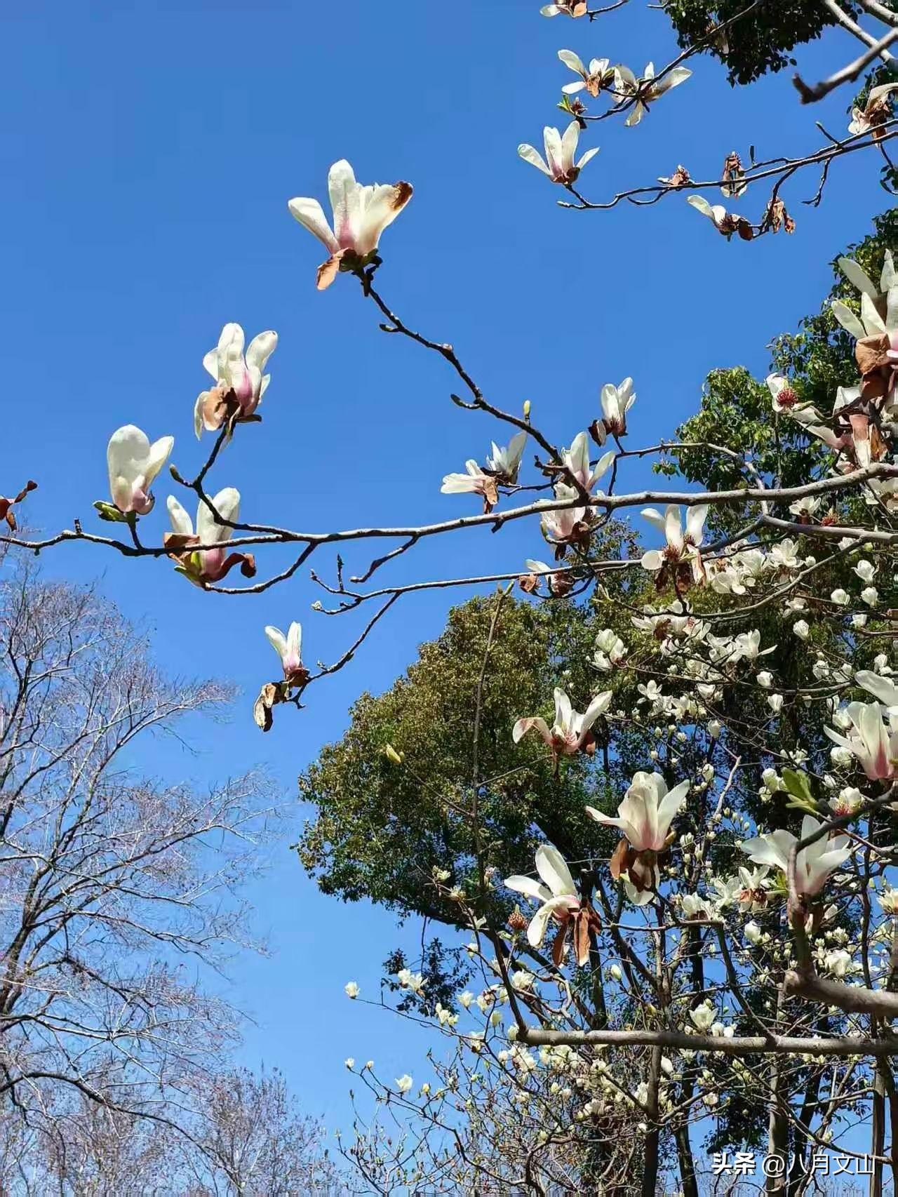不知道你有没有过这种感觉，每天累死累活上班，不敢吃贵的，不敢乱花钱，房租一涨、开