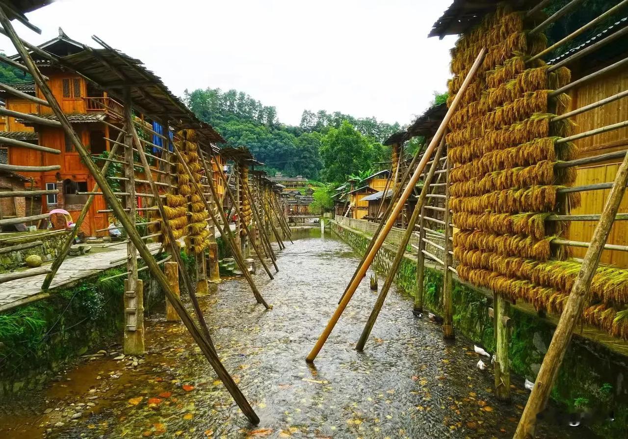 从江占里侗寨醉美风景惹人醉