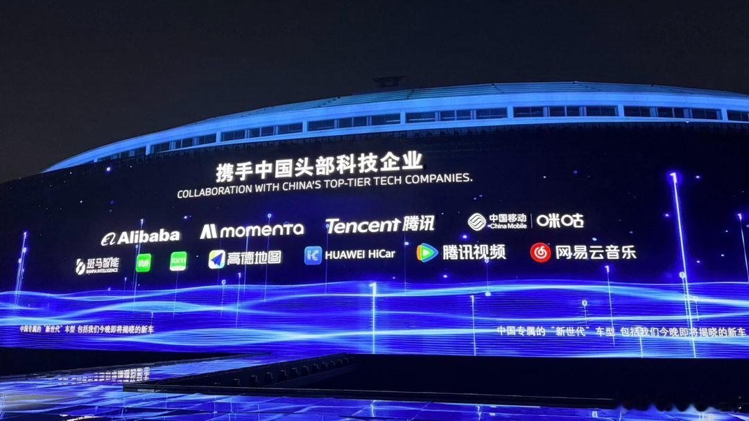 在中国 为中国 