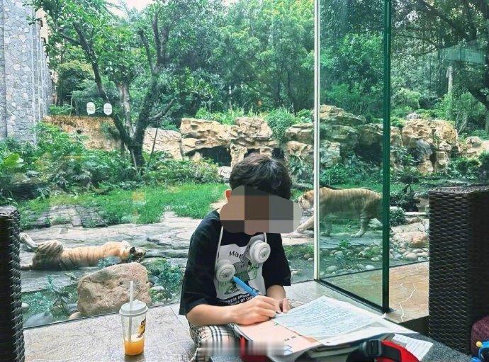 暑假就是中国的孩子在世界各地写作业 ​​​