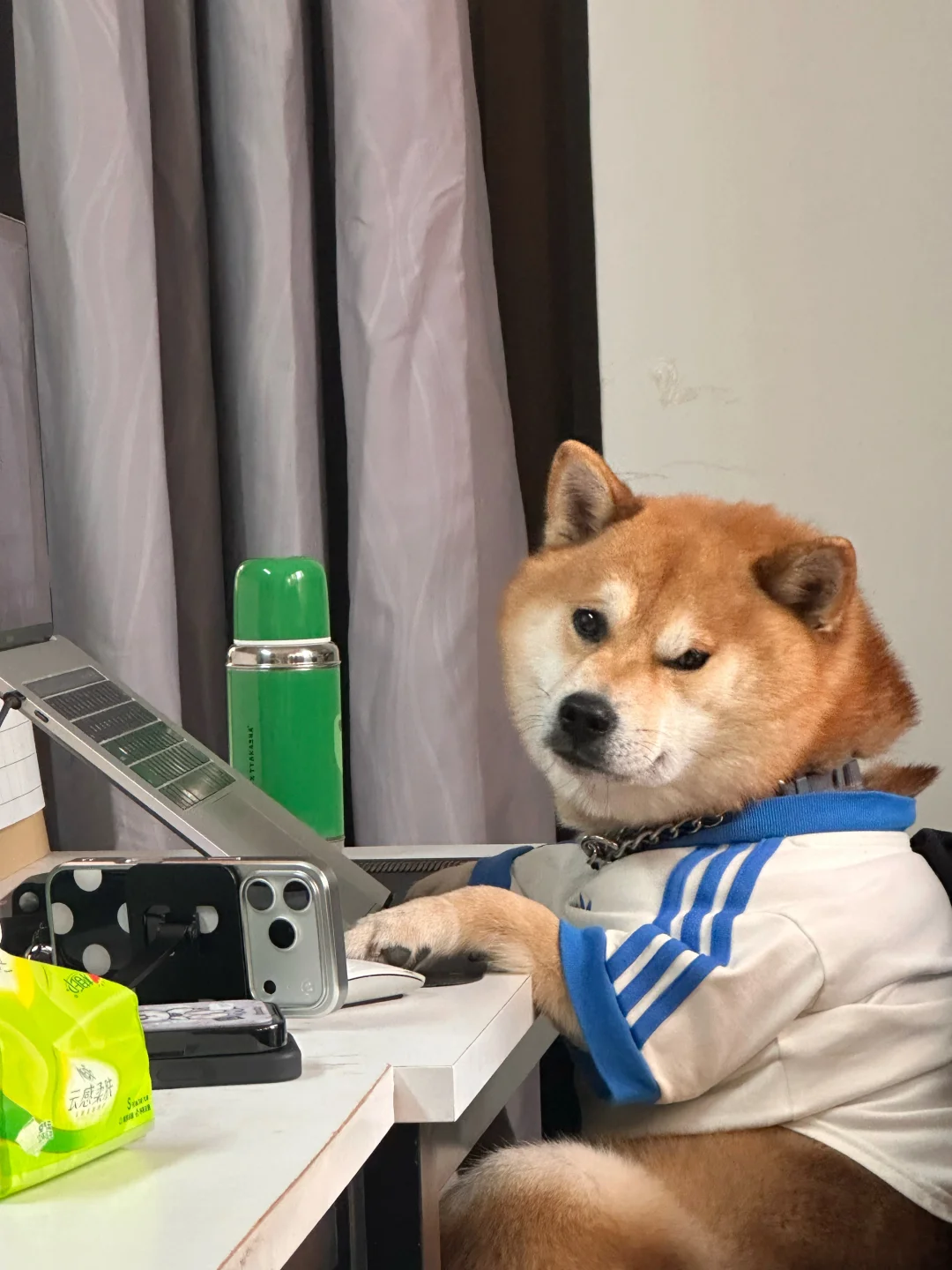 这班还要上几天？🫩