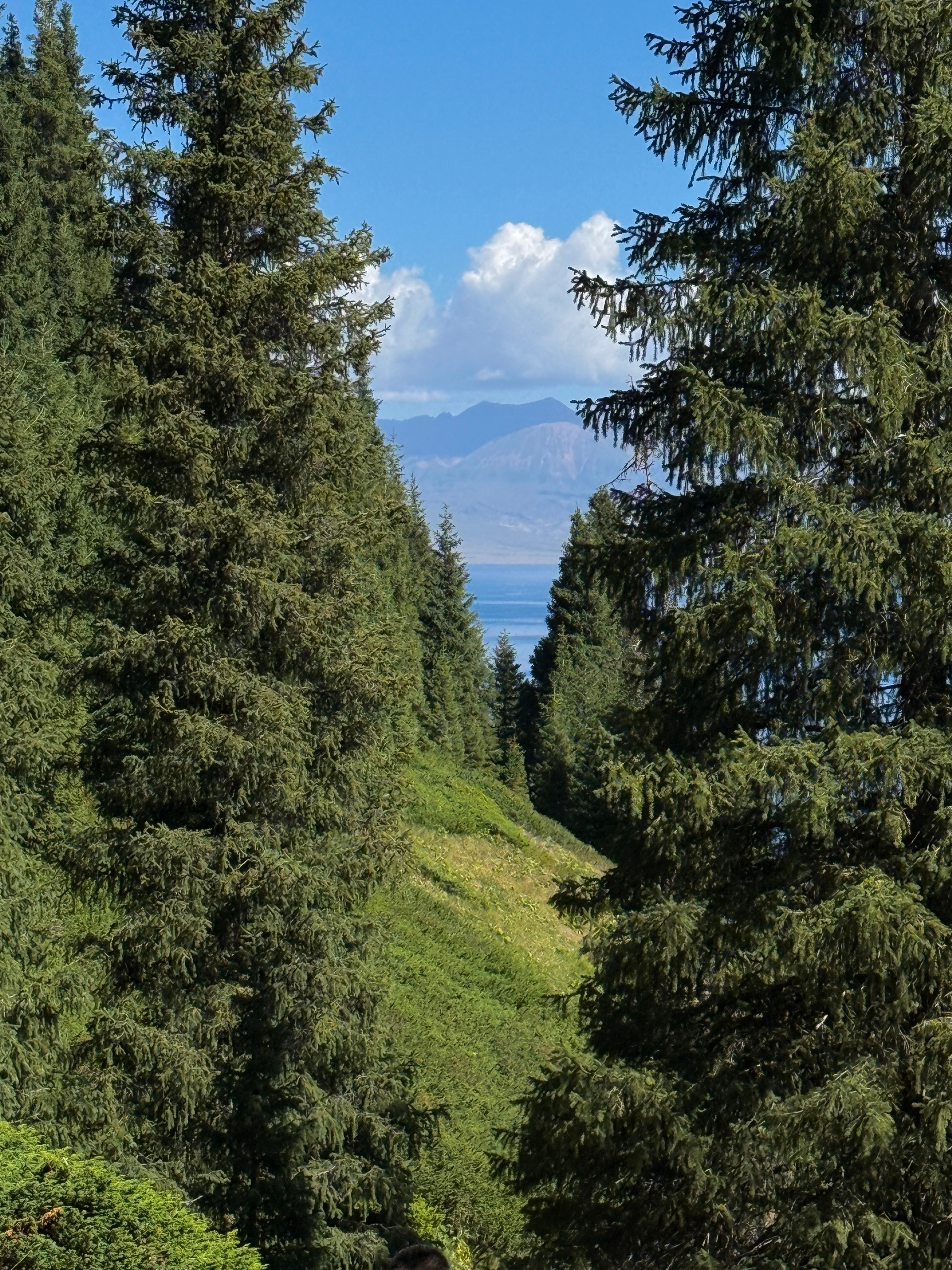 时隔四年 再次见到蓝色心脏 博乐·赛里木湖国家级风景名胜区