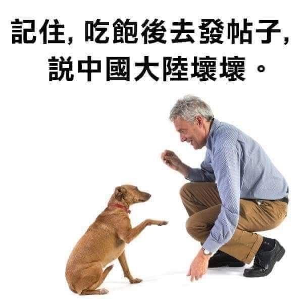 有那么一些人：
一、要求中国人质疑权威，可轮到美国载人登月了，却又要求中国人必须
