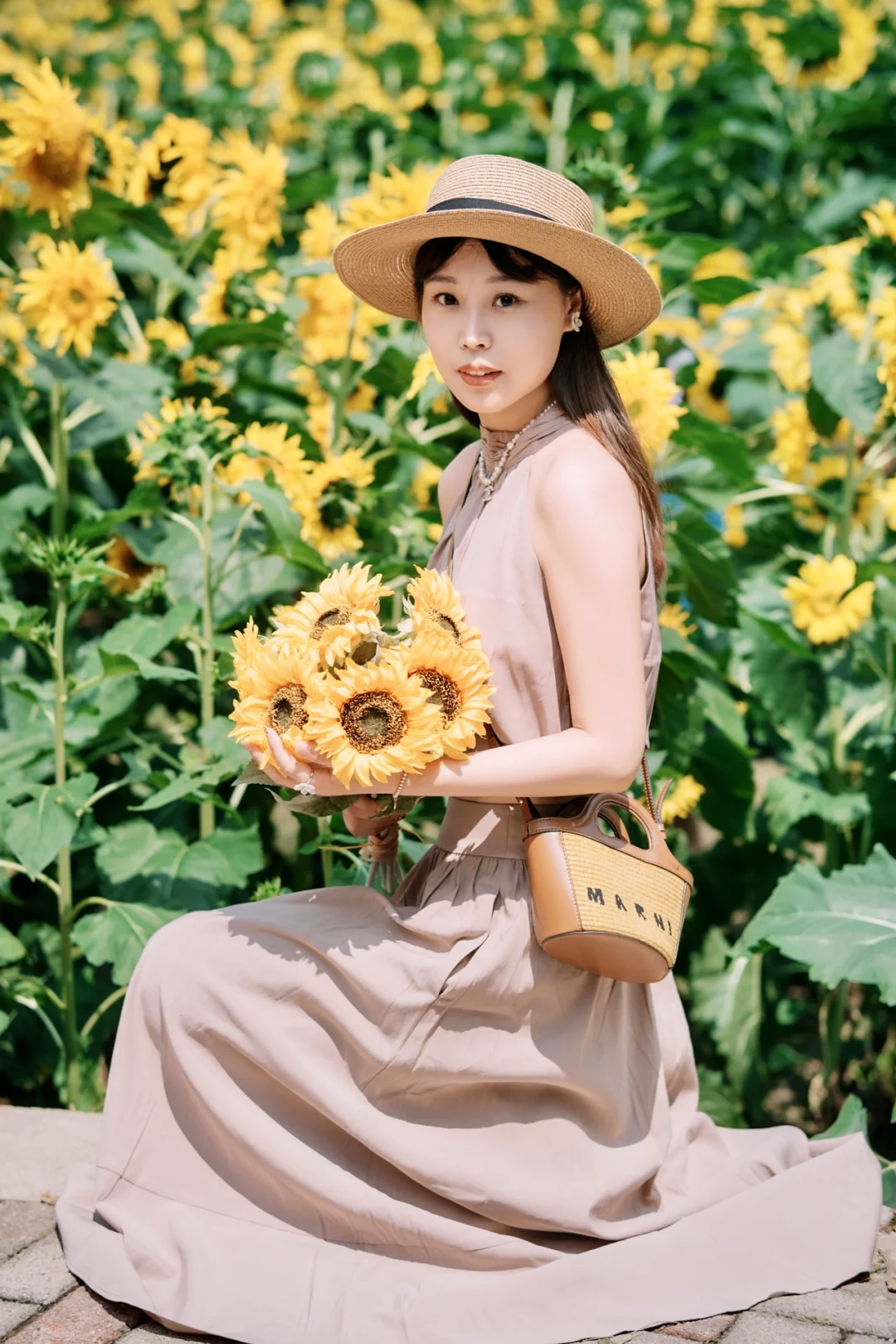 奥森向日葵花海这周zui后的机会