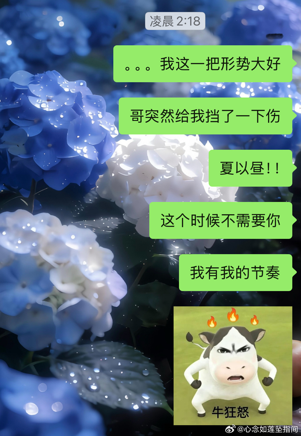 疑似b4补星补到大动脉了