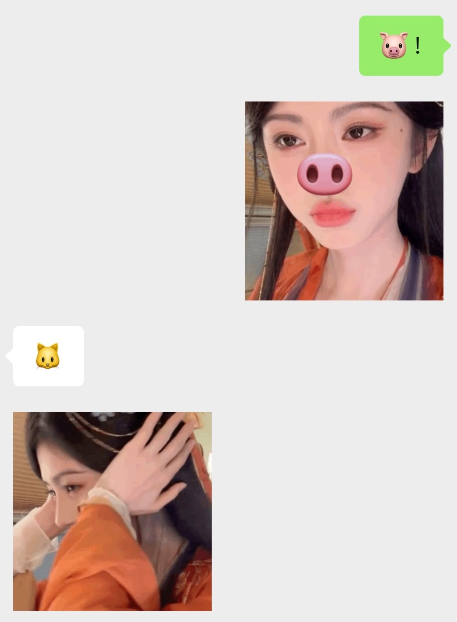 🐷🐱 