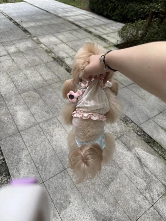 小小马尔泰拿下