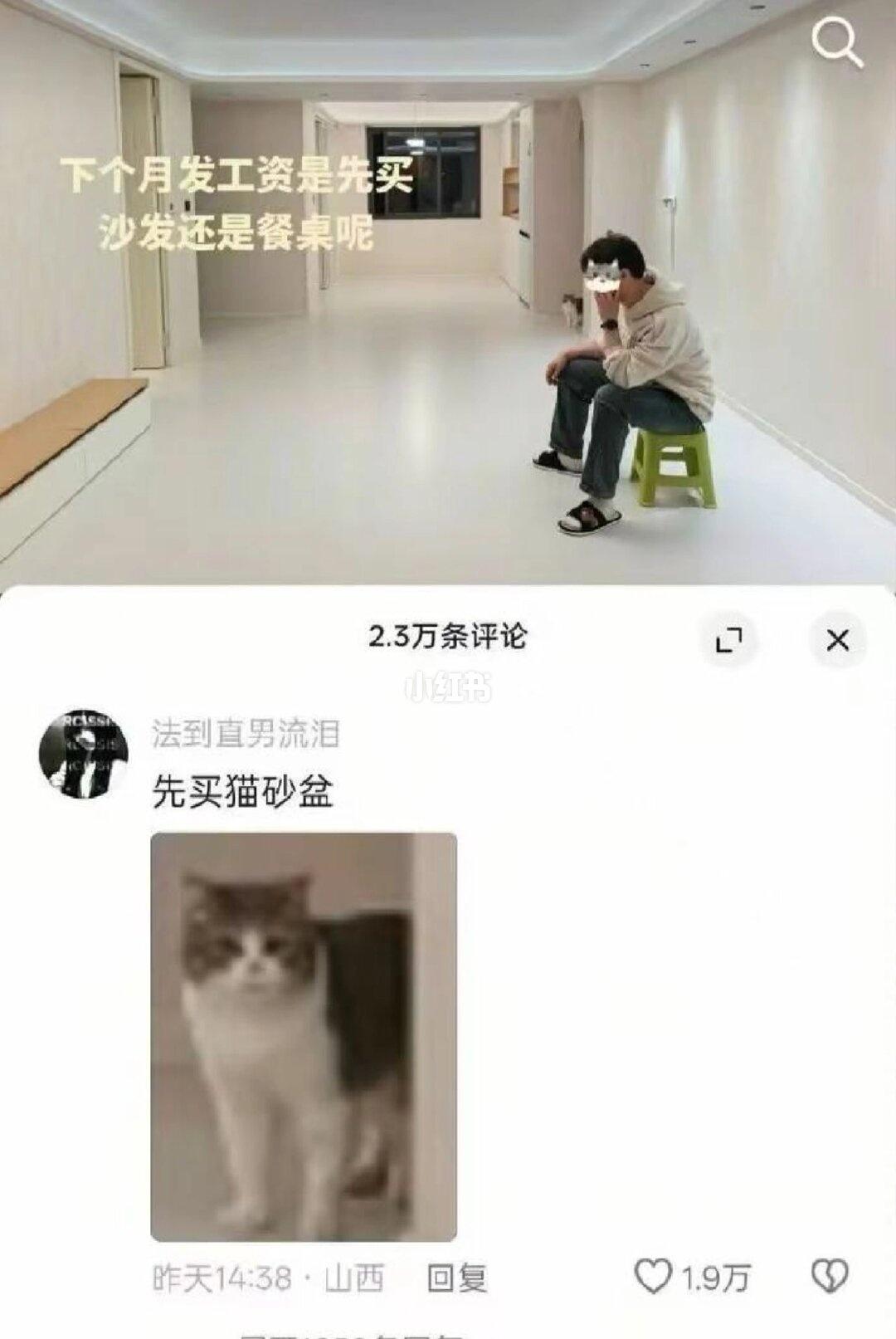 哈哈哈哈哈哈哈哈哈哈
有点像模拟人生里
带猫搬家之后猫头上的泡泡老是冒出猫砂盆