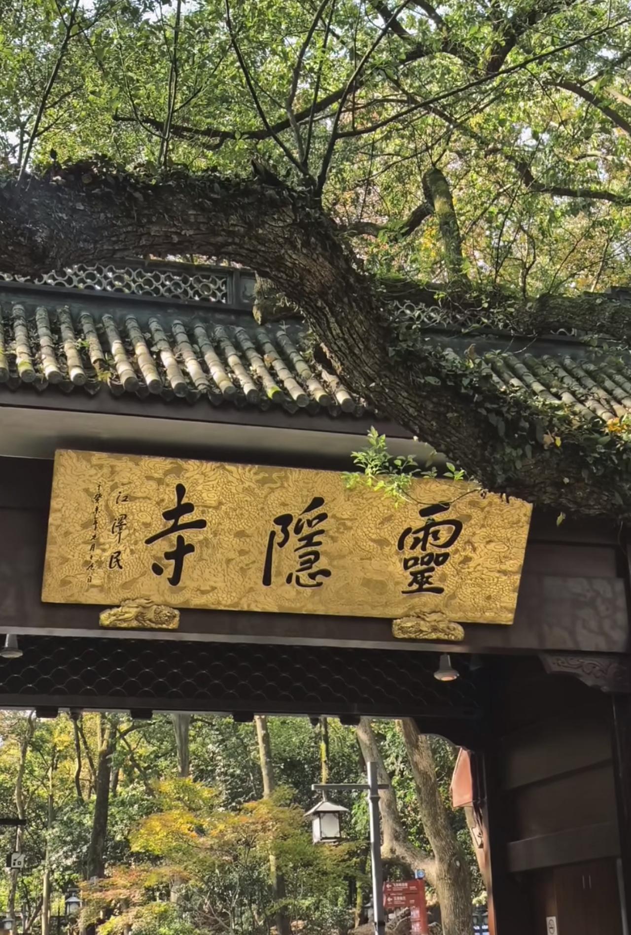 一觉醒来，

灵隐寺直接冲上热搜！

不是因为新主持上位，而是灵隐寺单日

就被