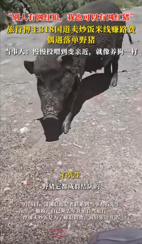 “离大谱了！”9月10日报道，近日一男子在318国道上摆摊卖炒饭和米线，谁知竟遇