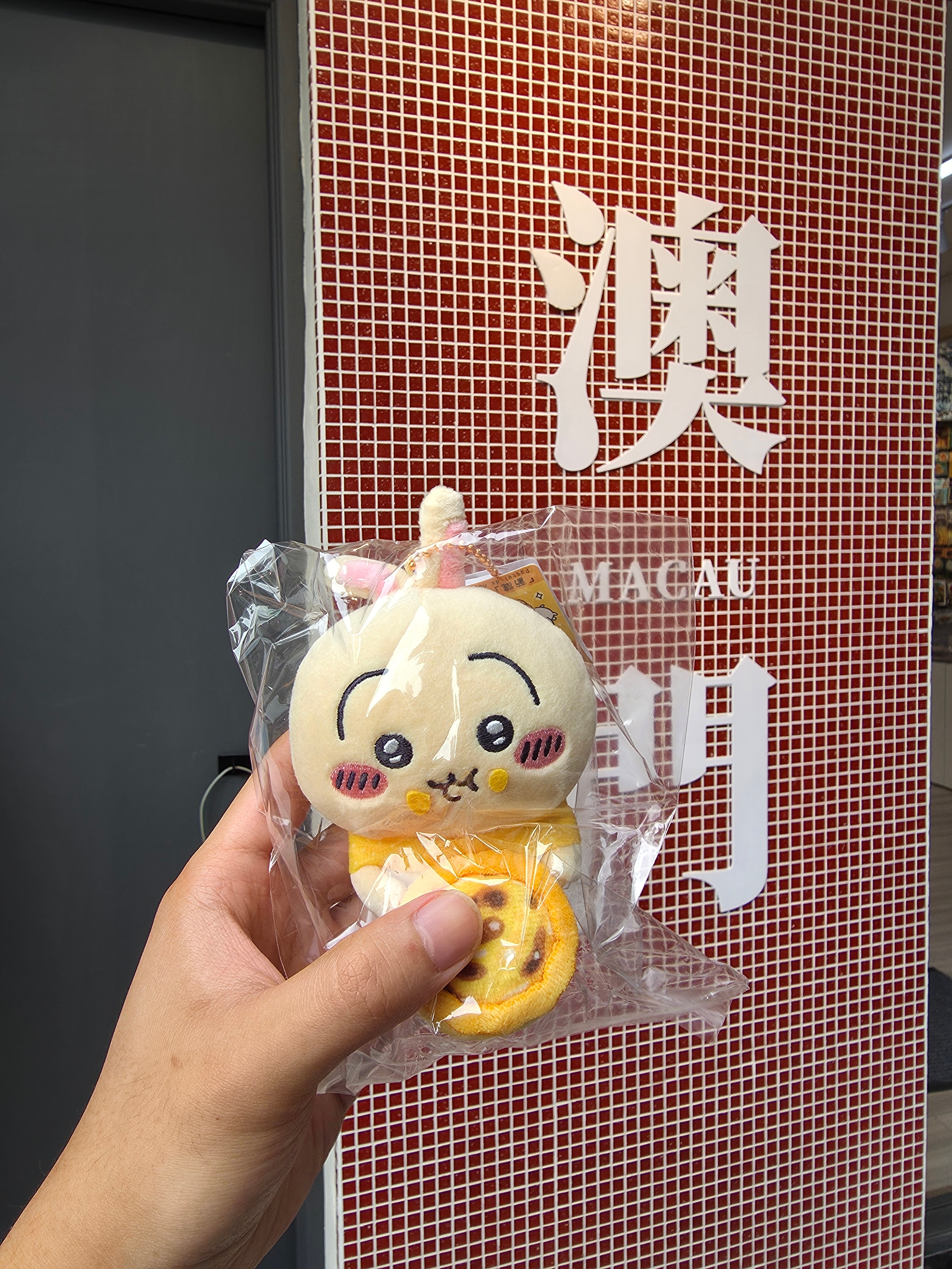 今天拿下一只澳门限定乌萨奇[馋嘴]还挺可爱  ​​​