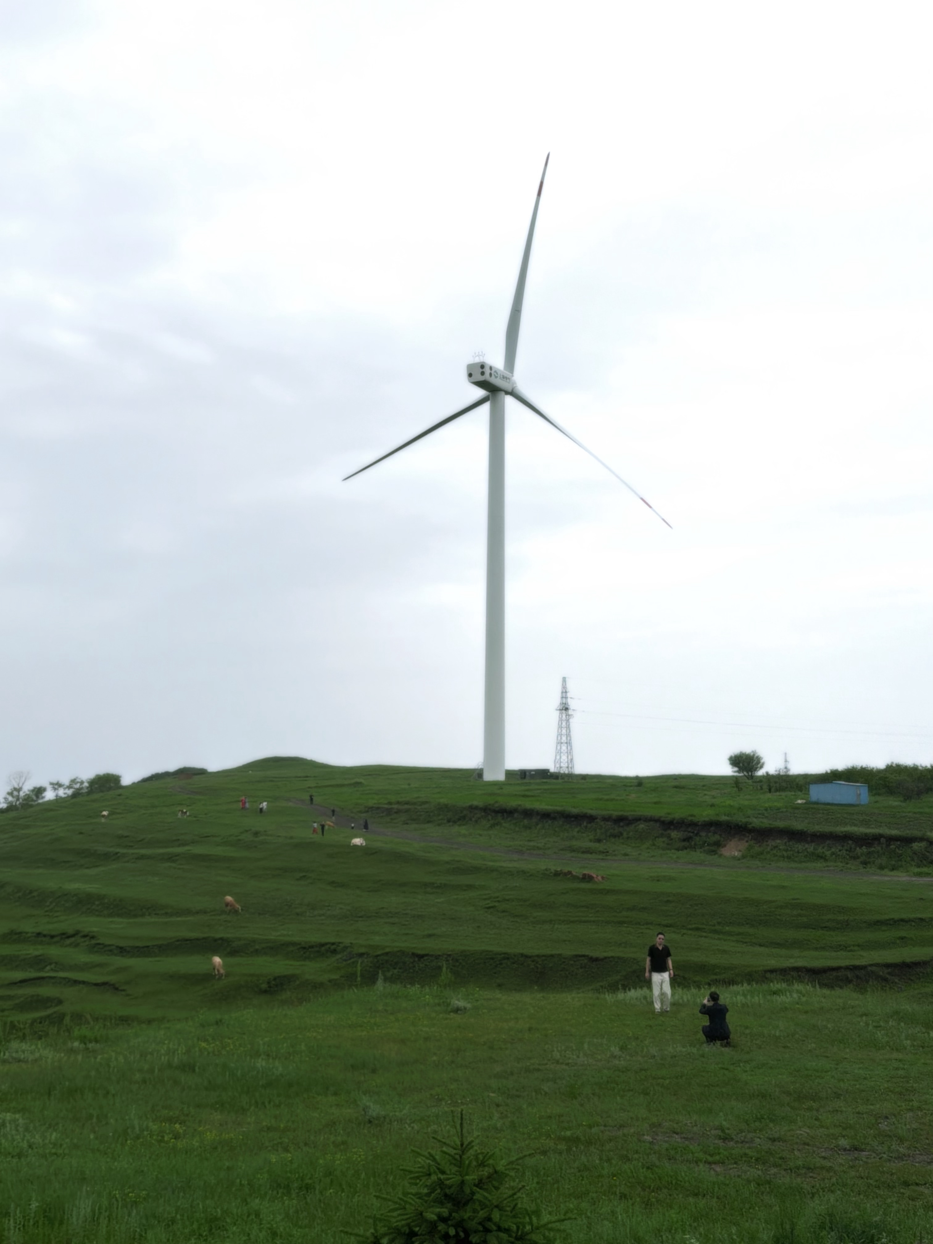 牛马来看牛马 张家口·草原天路自然艺术公园景区