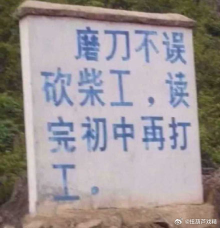 某家的日子不要太爽，吃着方便面，蹲着厕所，看着大爷逛公园 