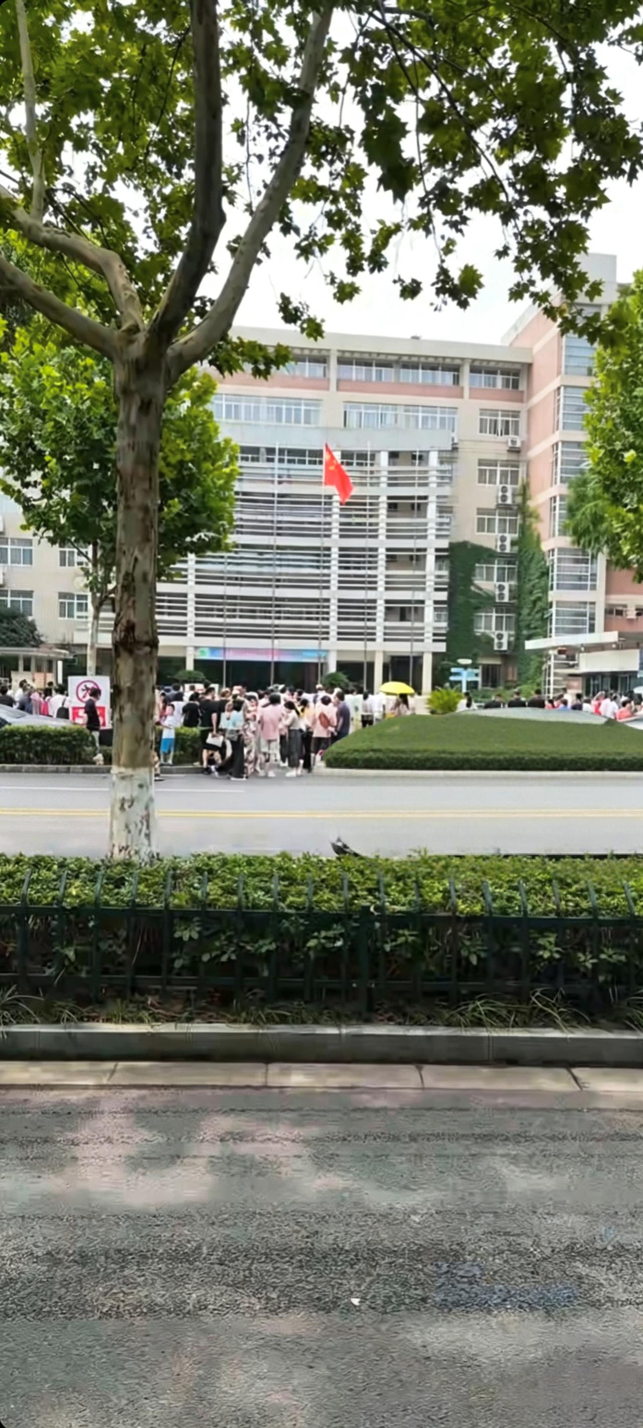 今天上午，南京4千余名“牛娃”来到北京东路这所学校赶考。