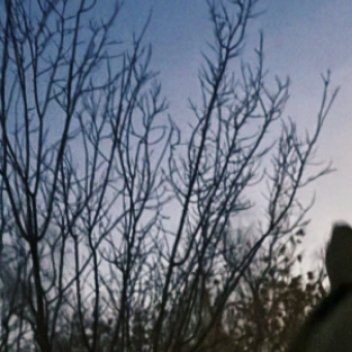 做从未做的事，叫成长;做不愿做的事，叫改变;做不敢做的事，叫突破。在学习中成长，