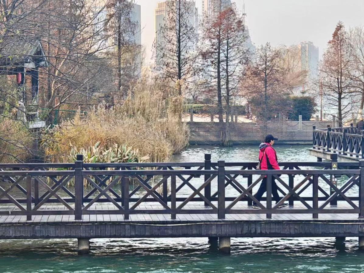 🍂 湖水驮着树影，芦苇摇碎冬的寂静，城市在雾色里成了温柔的背景板。
🌁 木桥