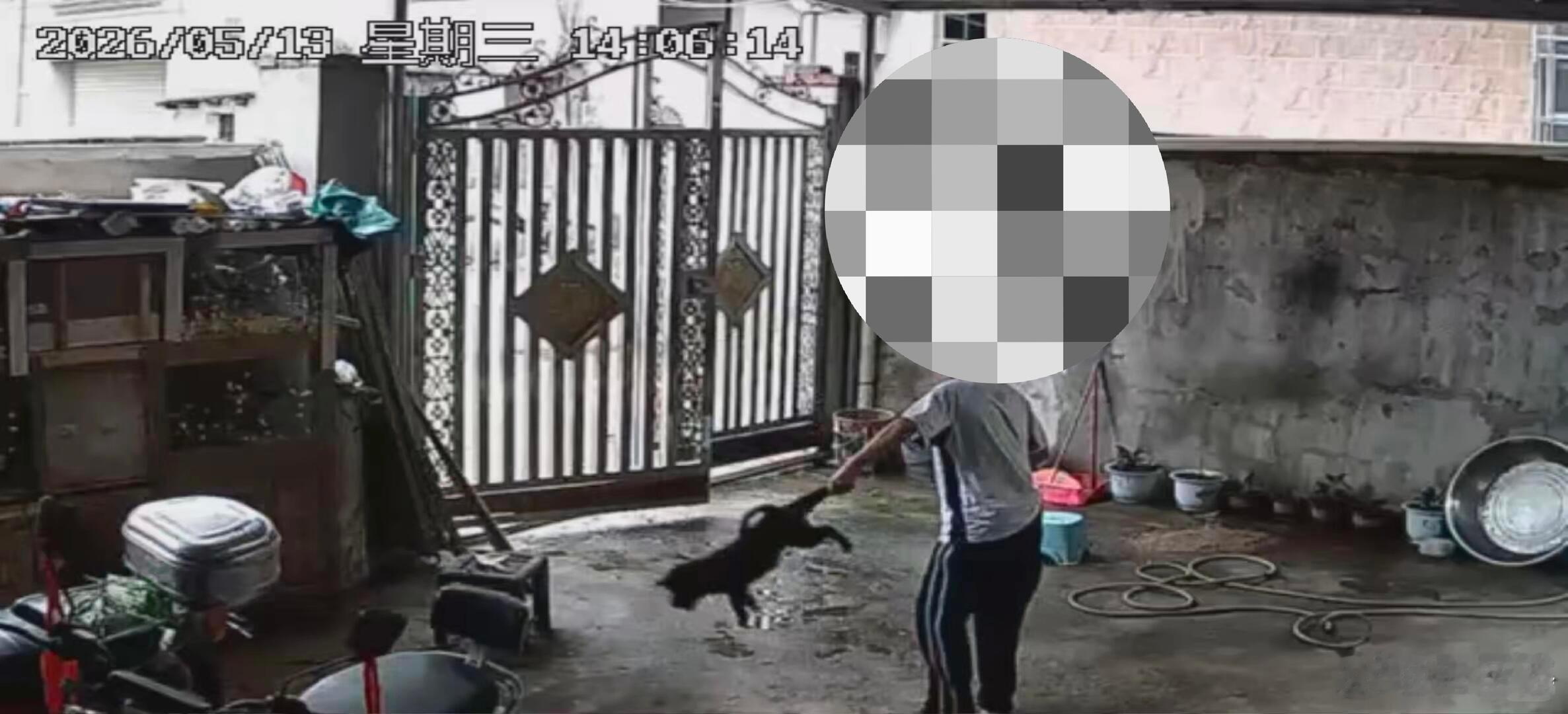 -怎么会有这么荒谬的事情啊，擅自开门进别人家伤害别人家的小狗？？而且是连续几天都