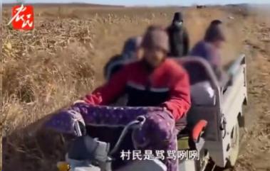 穷疯了！河北廊坊，一大哥在河北租了30亩地种花生，但是花生成熟之后，村里却来了很