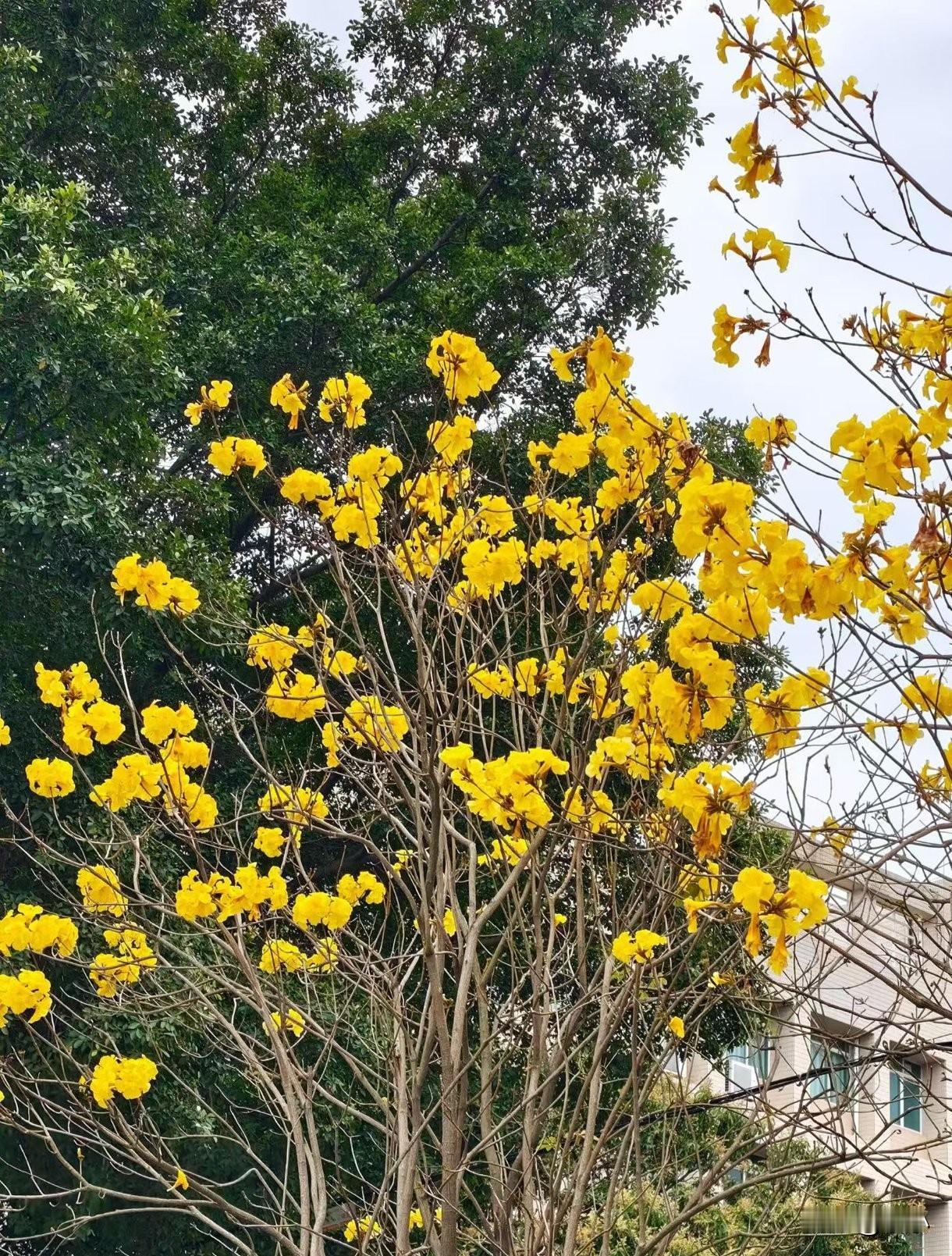 看了评论，有人说我拿别人的单子编故事，哈哈，写写我和胆结石的战斗历都说我编故事。